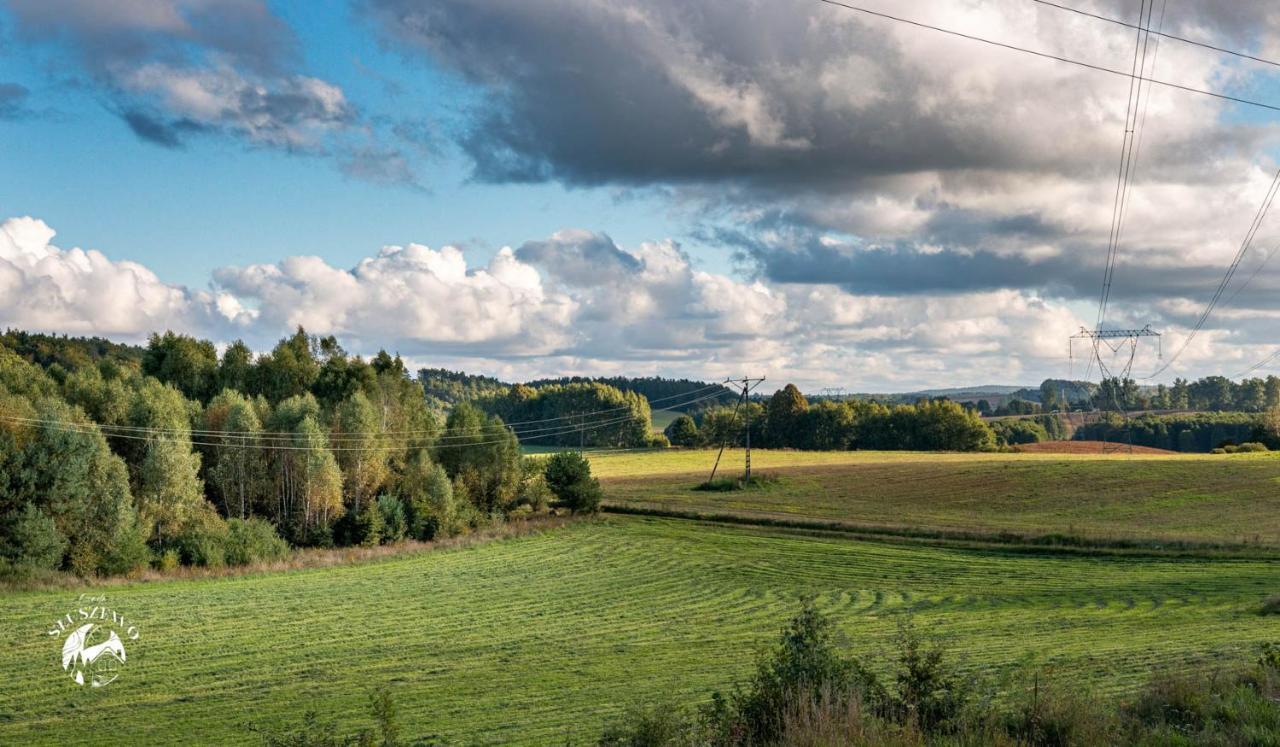 Osada Sluszewo - Apartamenty Restauracja Wydarzenia Gniewino Esterno foto